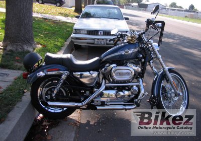 2003 harley-davidson xl 1200c sportster 1200 custom photo